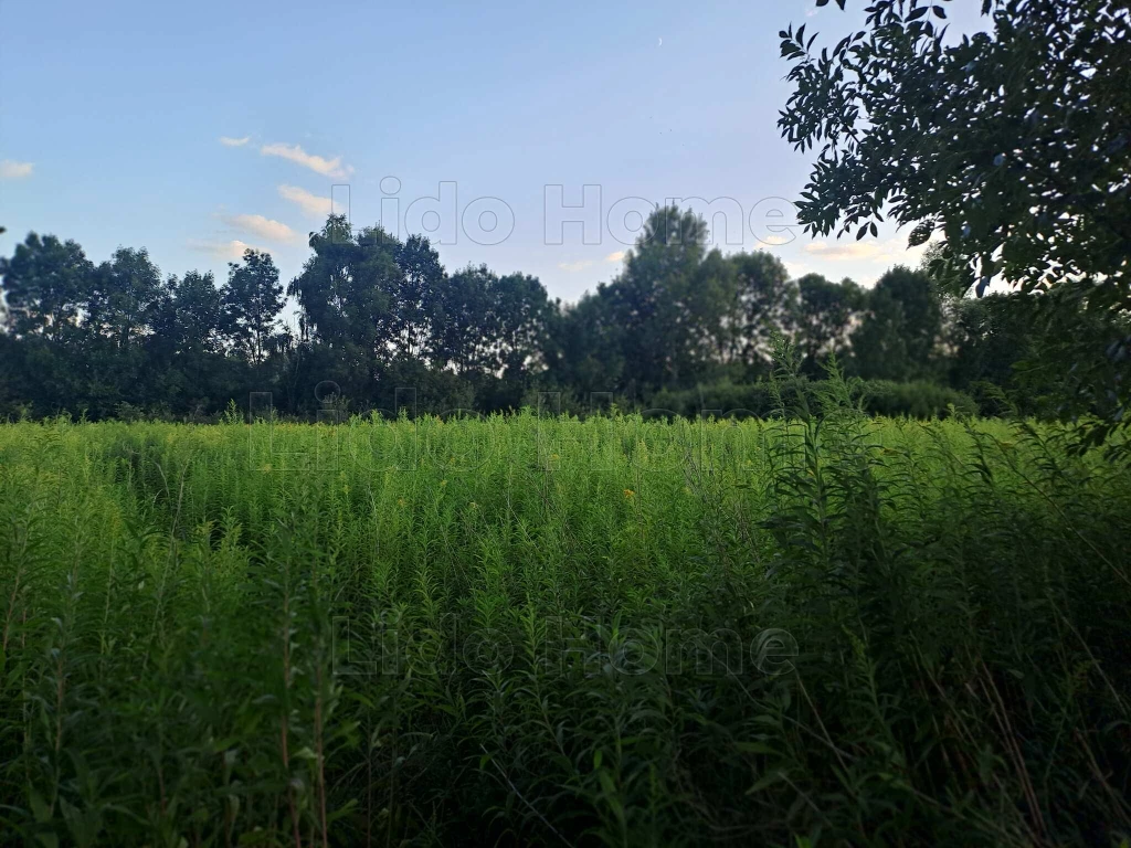 For sale plough-land, pasture, Nagykanizsa