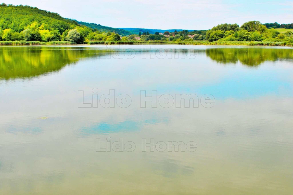 Egeraracsán, a Kis-Balatonhoz közel eladó egy közel fél hektáros erdős területet