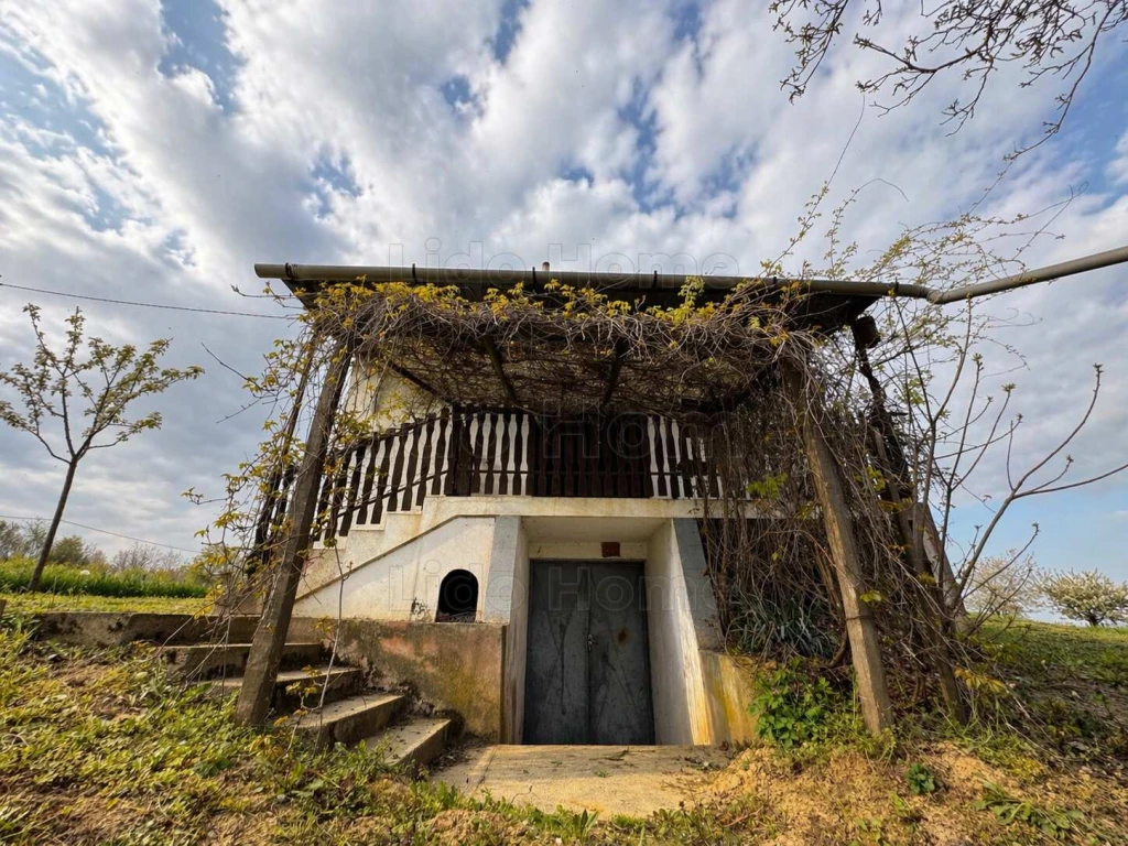 c3-1-name c2-81-name, Marcali