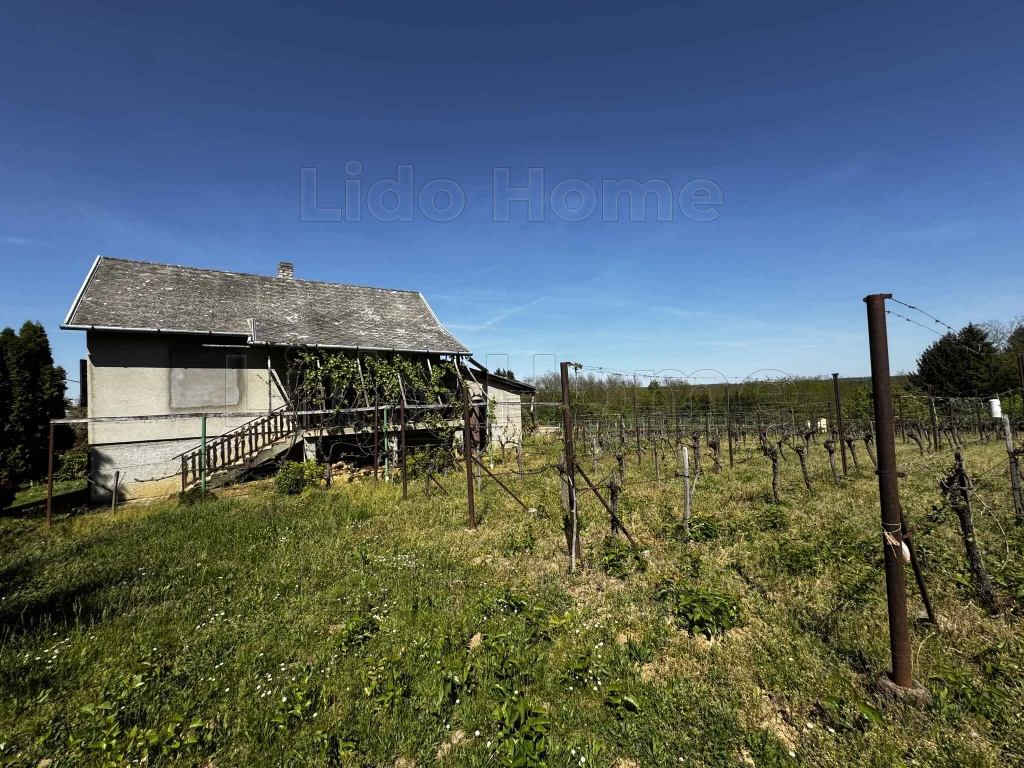 Rejtett nyugalom a Nagydombiszőlő hegyen- BELEZNA- 6100m2 lehetőség
