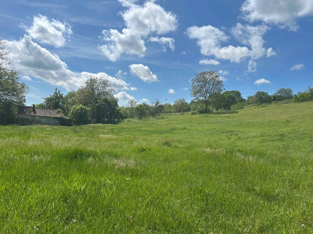 ELADÓ egy 16668 m²-es területet Homokkomárom közelében, Nagykanizsától 10 km-re