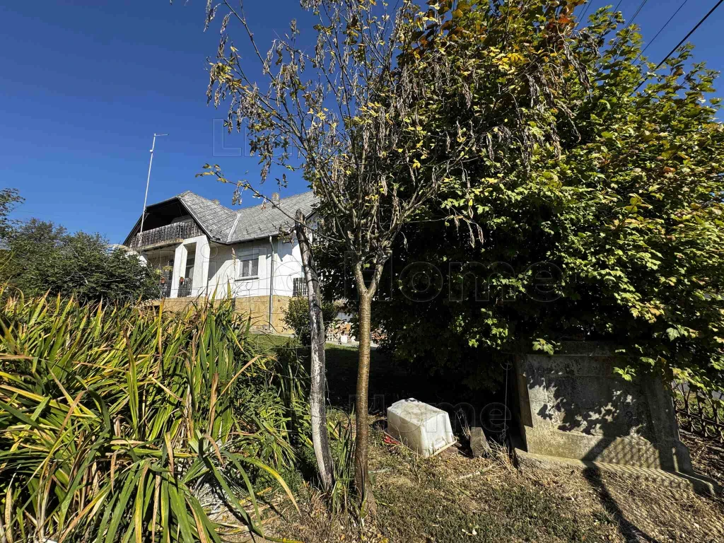 c3-1-name c2-1-name, Eszteregnye