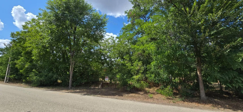 Cserkeszőlőn eladó építési telek