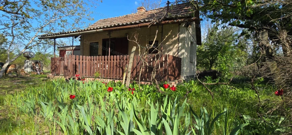 Szelevényen eladó 2970 m2-s gyümölcsös 17 m2-es házzal