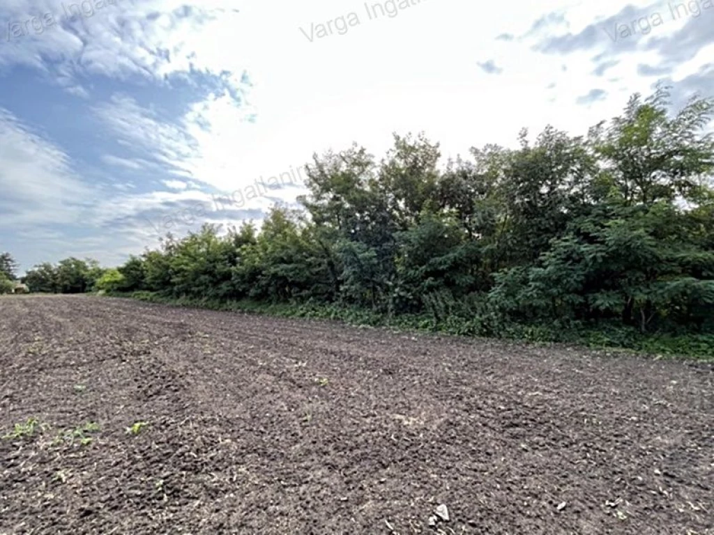 For sale building plot, Szakony