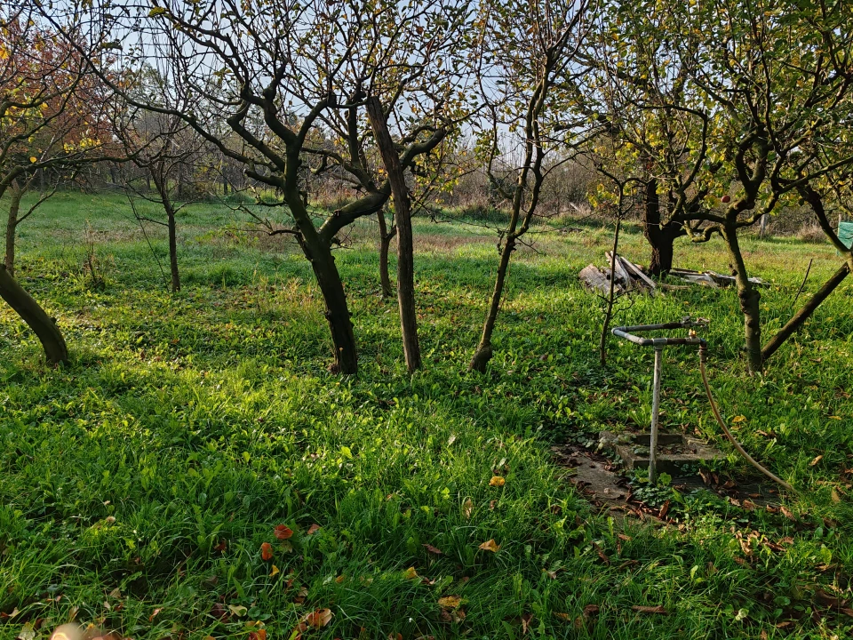 For sale closed garden, Zalaegerszeg