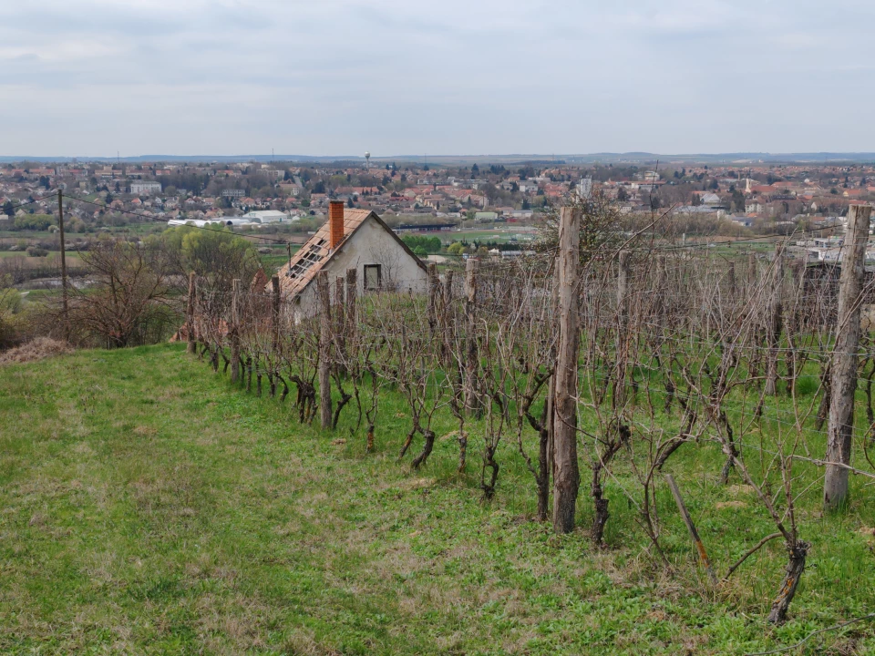 For sale periphery plot, Bonyhád