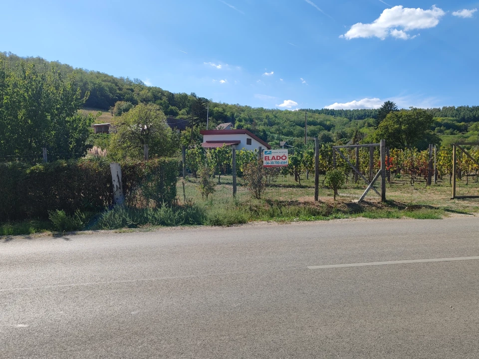 For sale orchard, Szekszárd