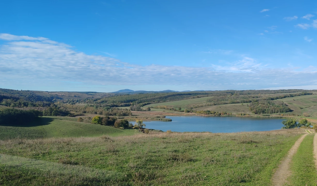 Eladó szántóföld, legelő, Mőcsény