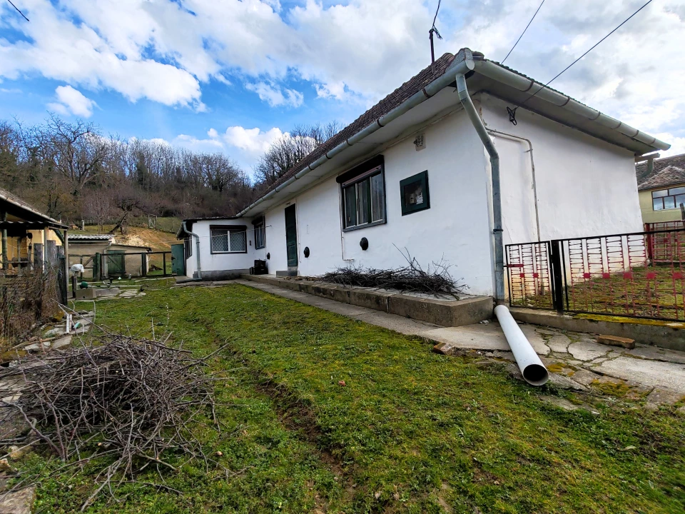 For sale house, Závod