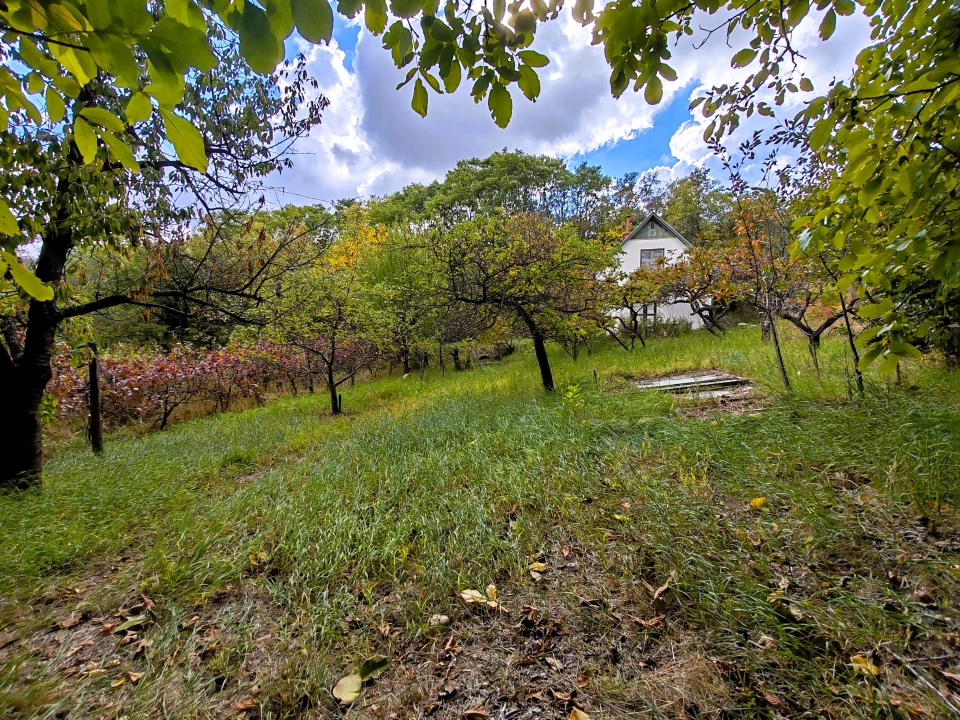 For sale grange, Szekszárd, Csomorikadűlő