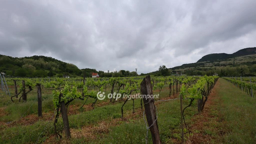 For sale plough-land, pasture, Nemesgulács, Csendes