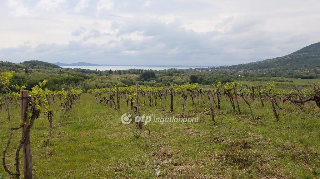 Eladó szántóföld, legelő, Badacsonytomaj, Balatoni panoráma