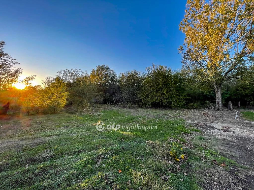 For sale building plot, Tüskevár, Belterület