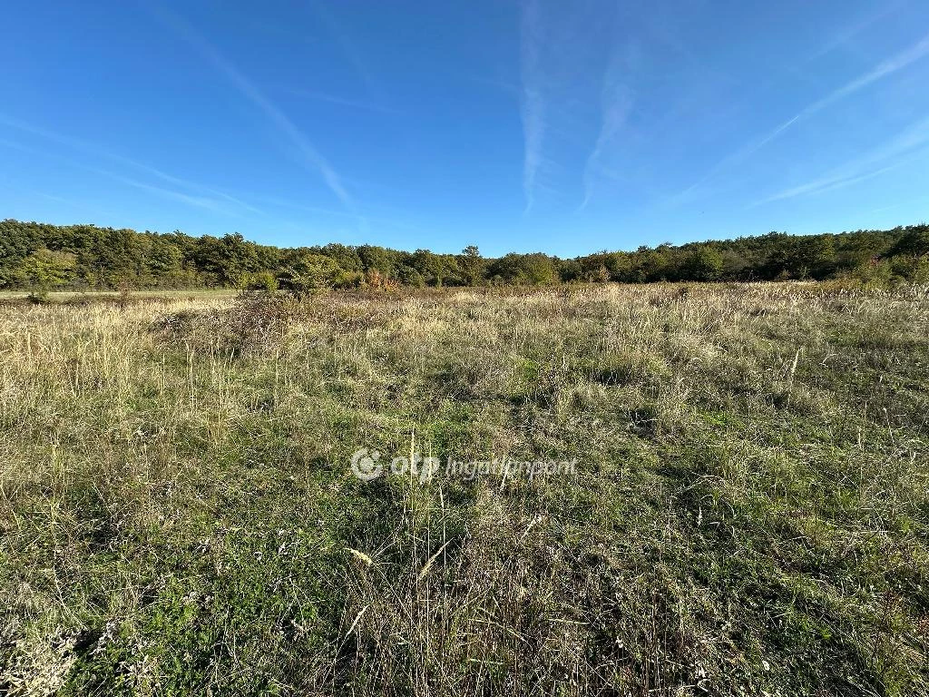 For sale plough-land, pasture, Kővágóörs, panorámás