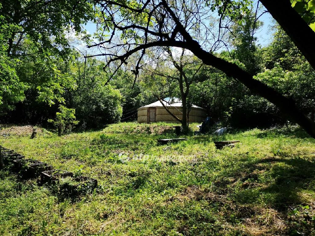 For sale plough-land, pasture, Tapolca, Csobánc