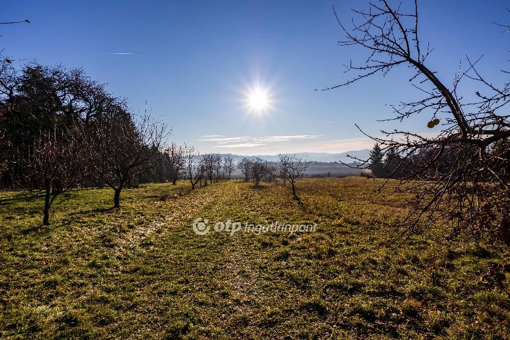 For sale building plot, Várvölgy, Csendes