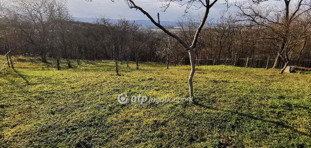 Eladó szántóföld, legelő, Tapolca, Hajagos-hegy