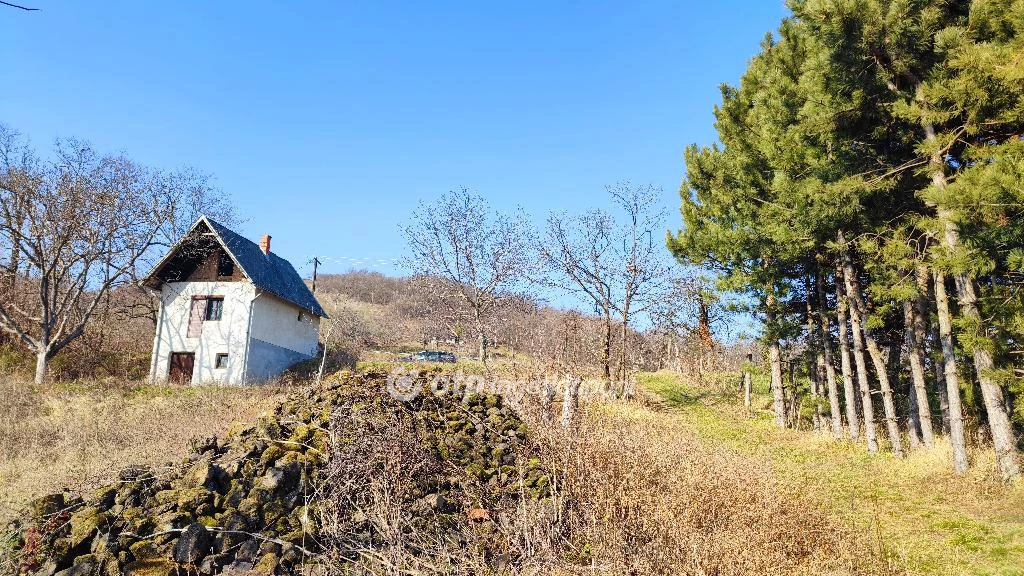 Eladó építési telek, Lesencefalu, Természetközeli, Szőlőskertek