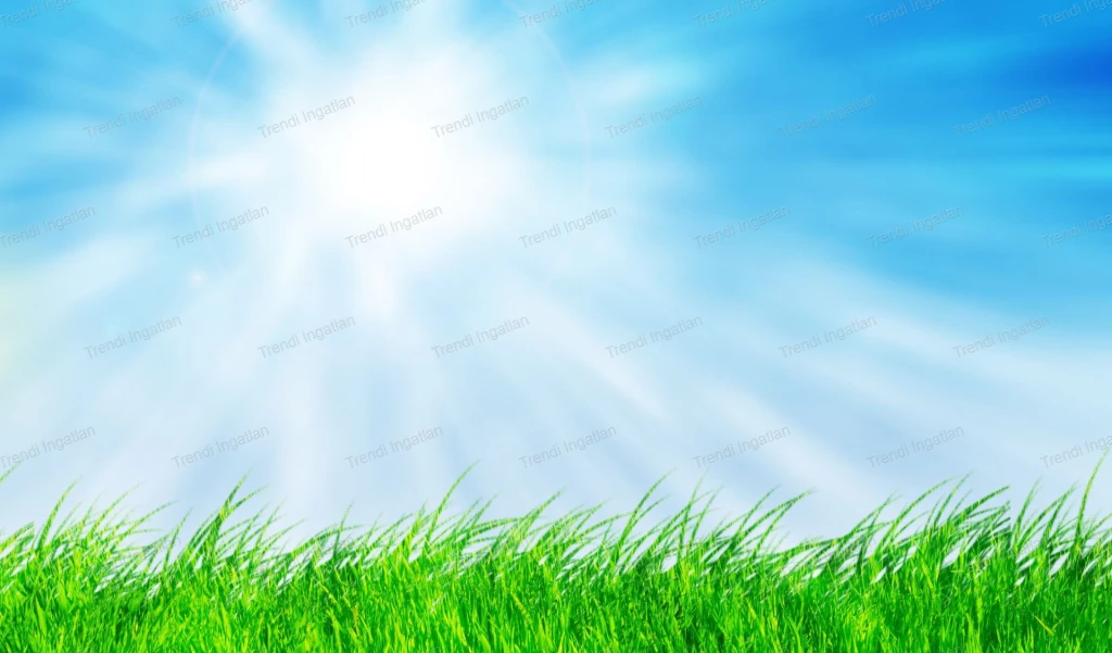 Építési telek eladó