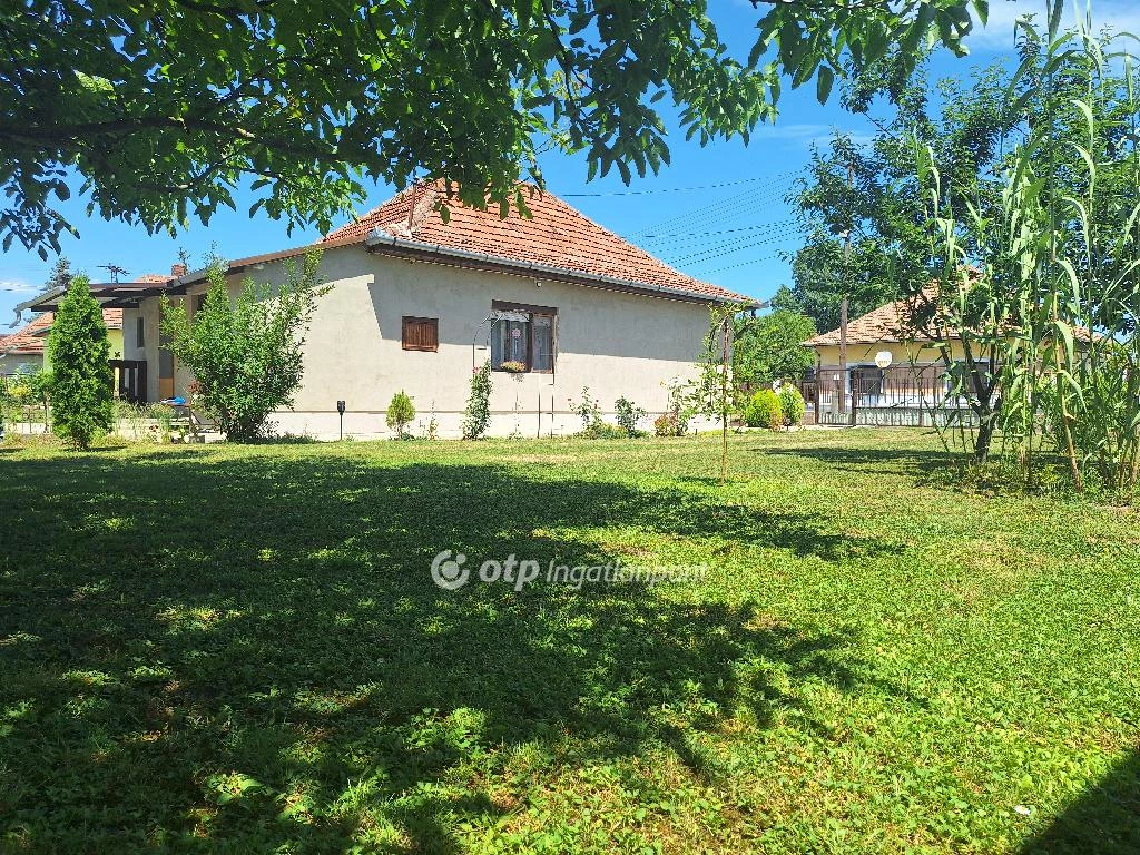 For sale house, Szeghalom