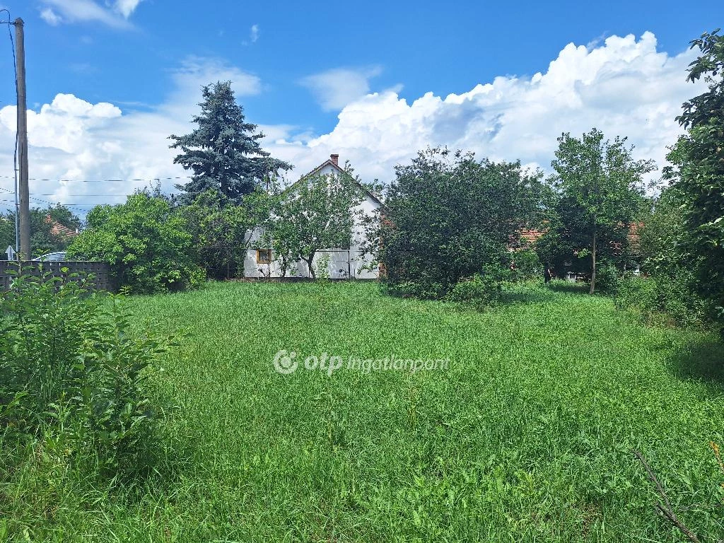 For sale house, Mezőberény, Szarvasi út