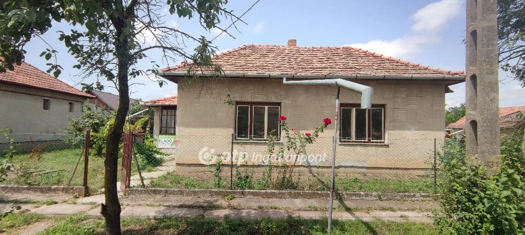 For sale house, Békésszentandrás