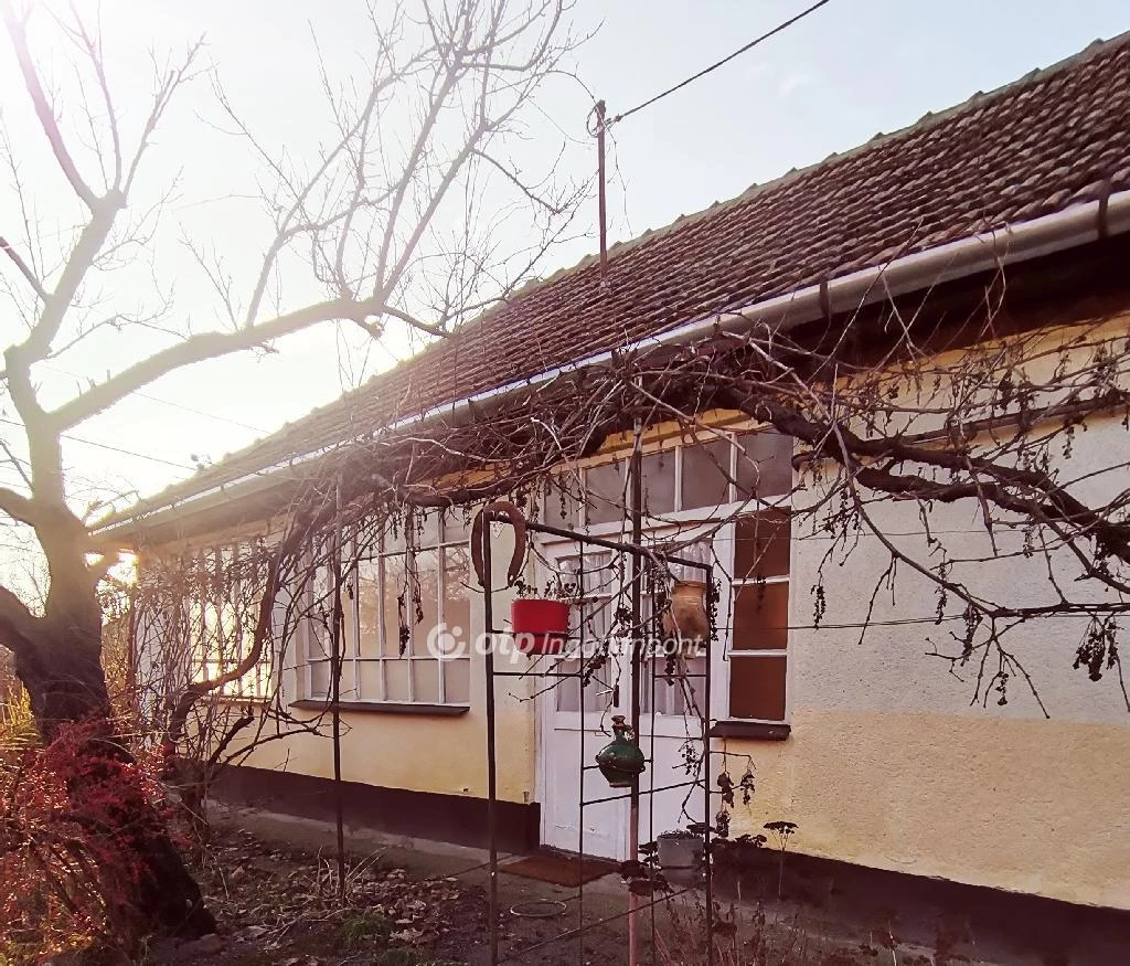 For sale house, Tiszabábolna