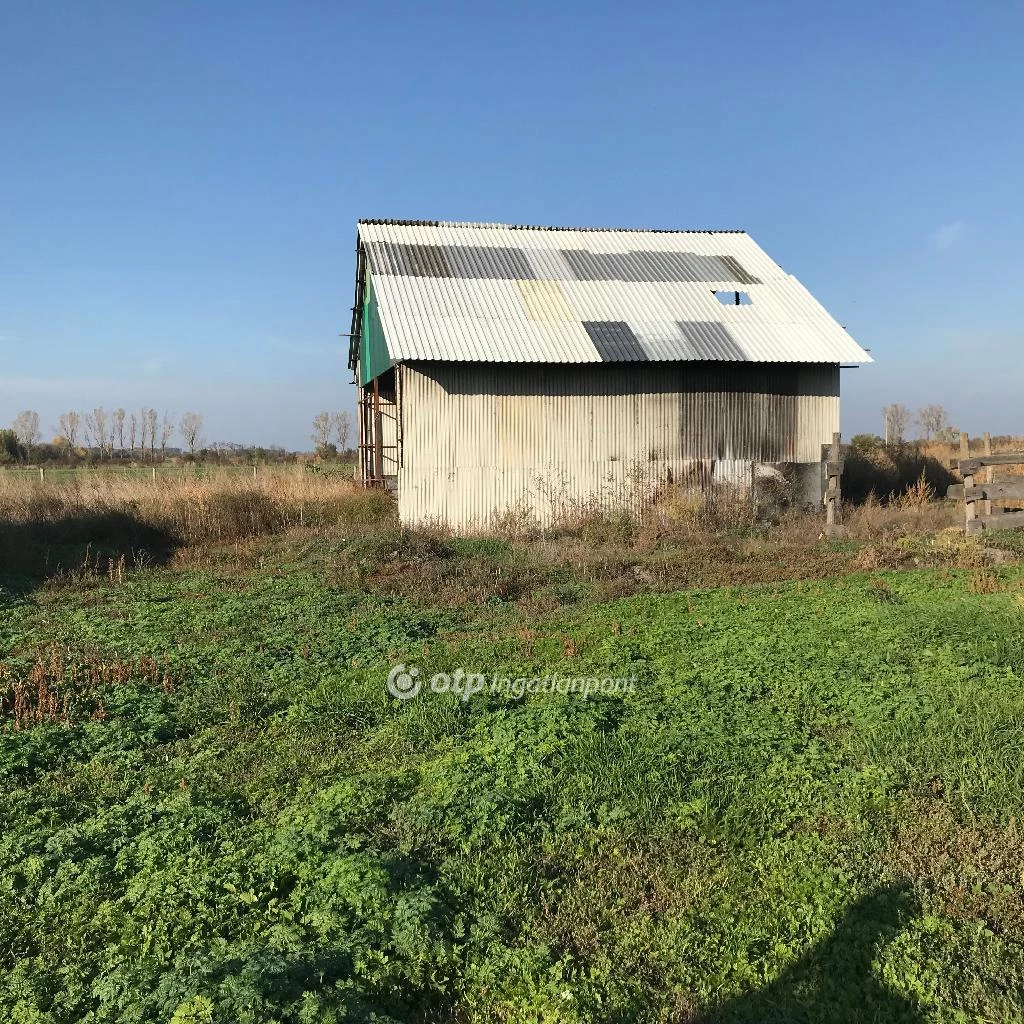 For sale plough-land, pasture, Gyomaendrőd, Gyomaendrőd