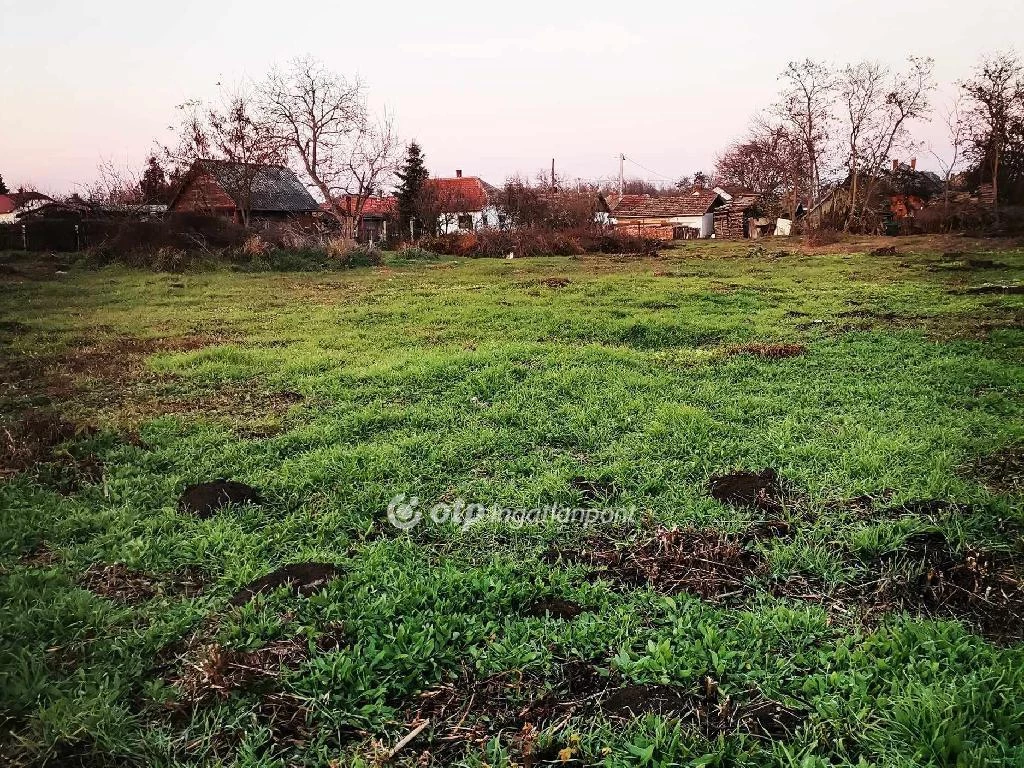 For sale building plot, Tiszaszőlős