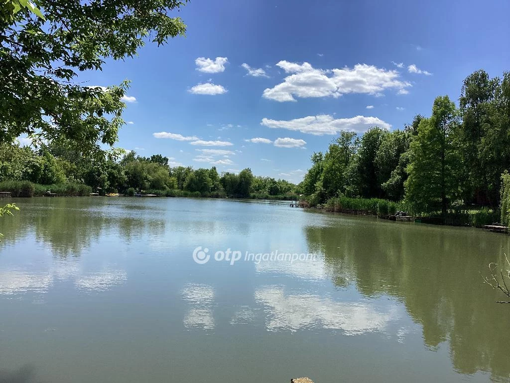 Eladó Telek, Gyomaendrőd
