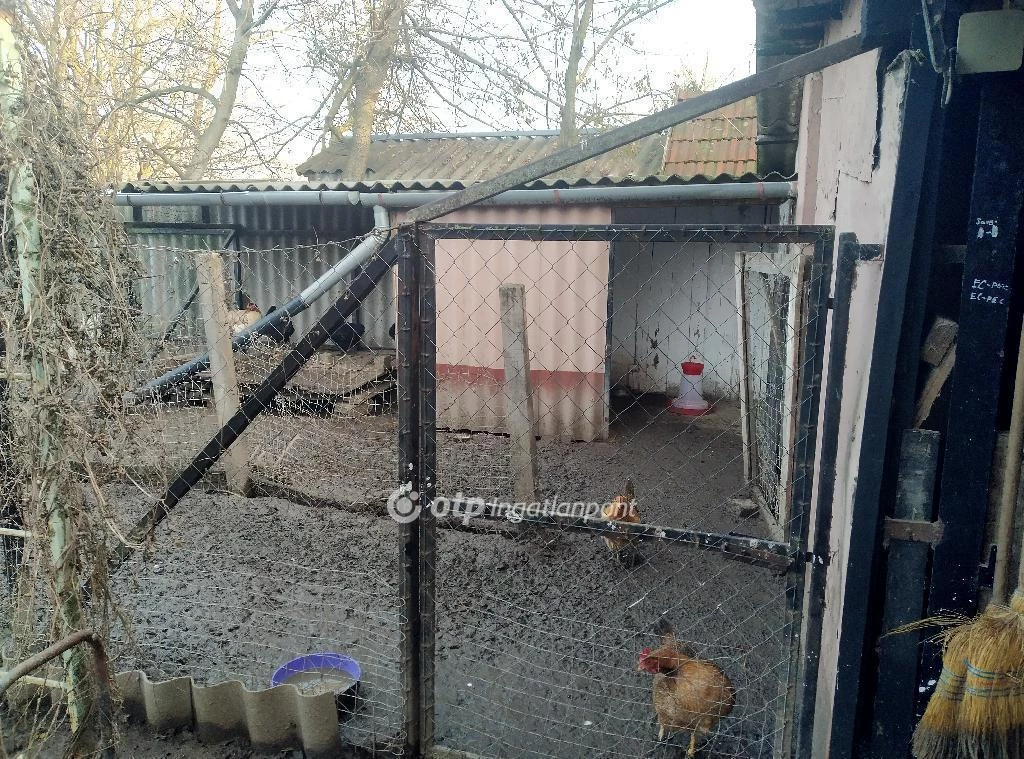 Eladó Ház, Szeghalom