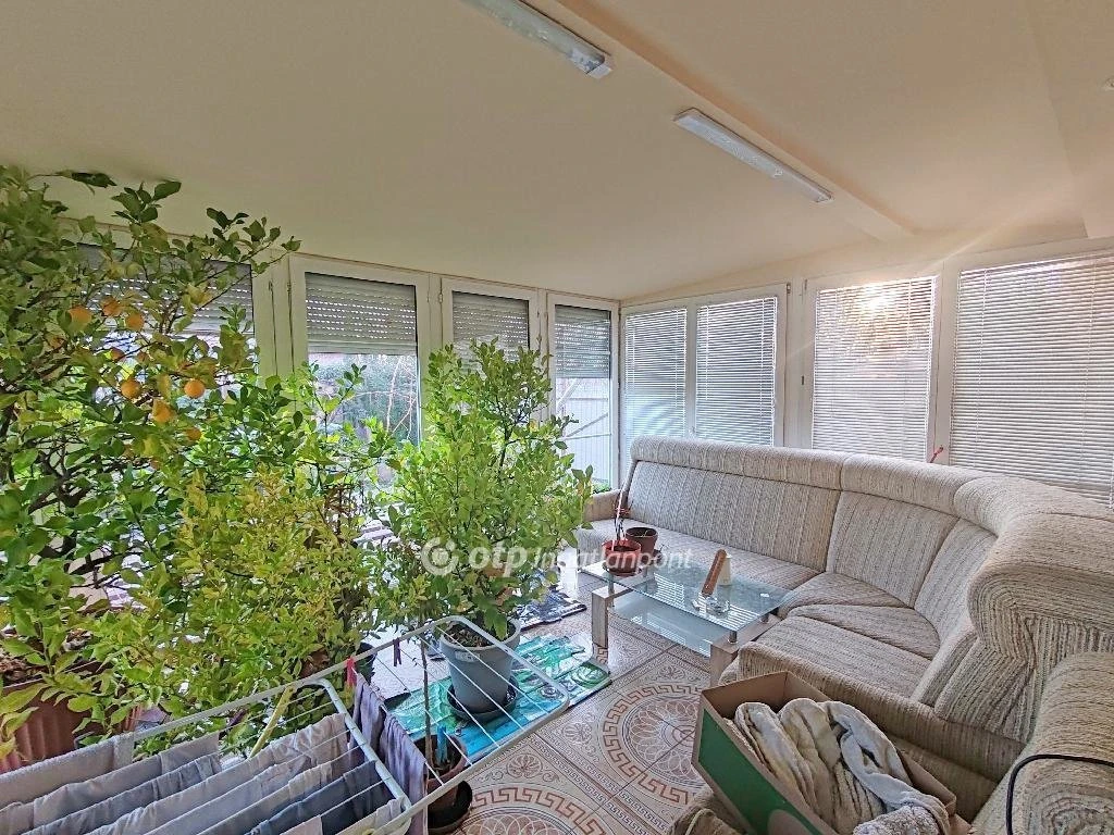 c3-1-name c2-1-name, Törökszentmiklós, Felvég