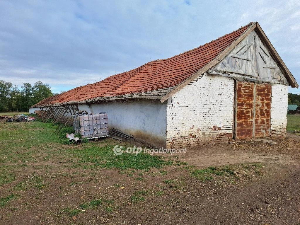 Eladó Mezőgazdasági, Kunmadaras