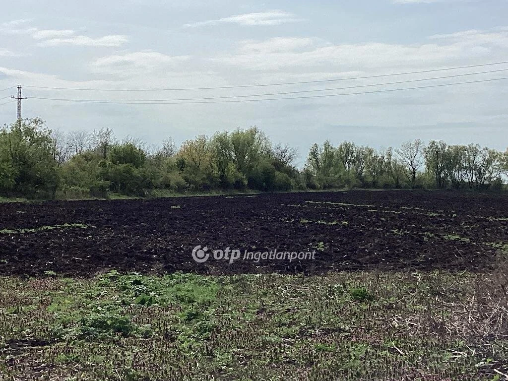 Eladó Mezőgazdasági, Gyomaendrőd