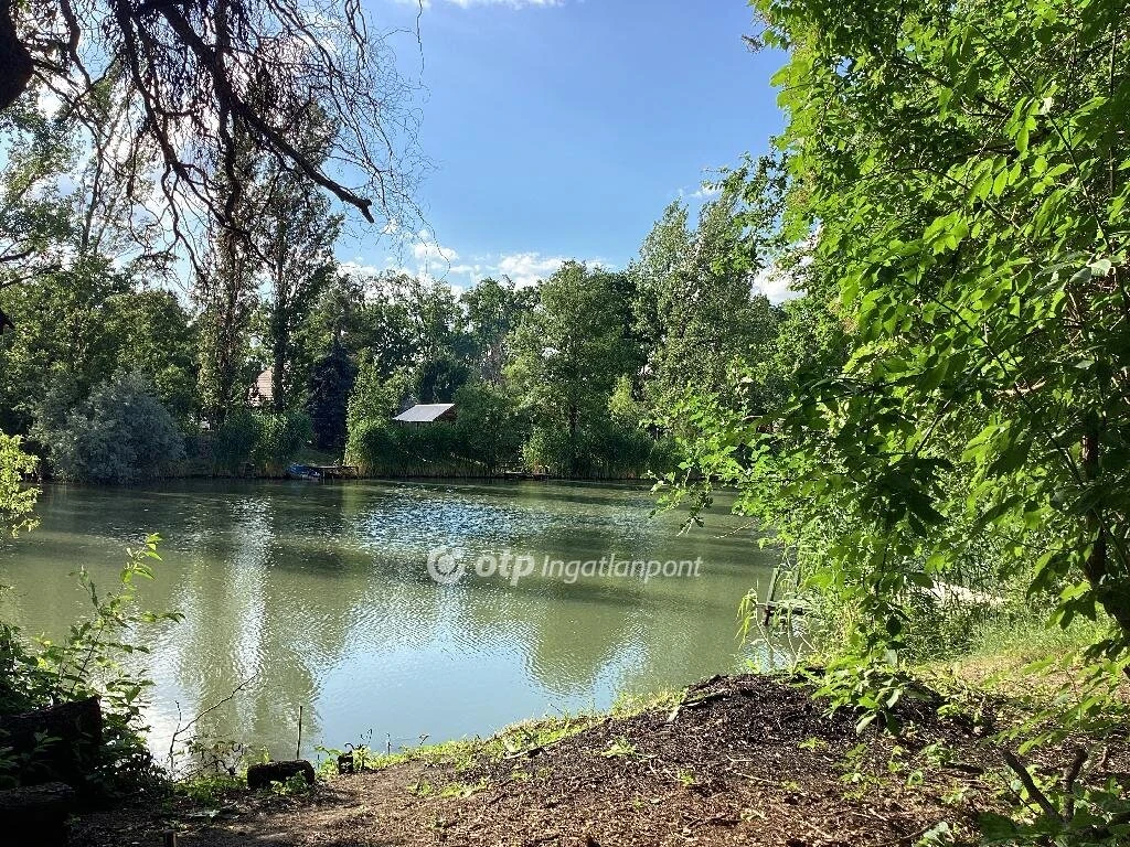 Eladó Telek, Gyomaendrőd