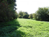Eladó Telek, Zalaegerszeg Gébárti 18.900.000 Ft