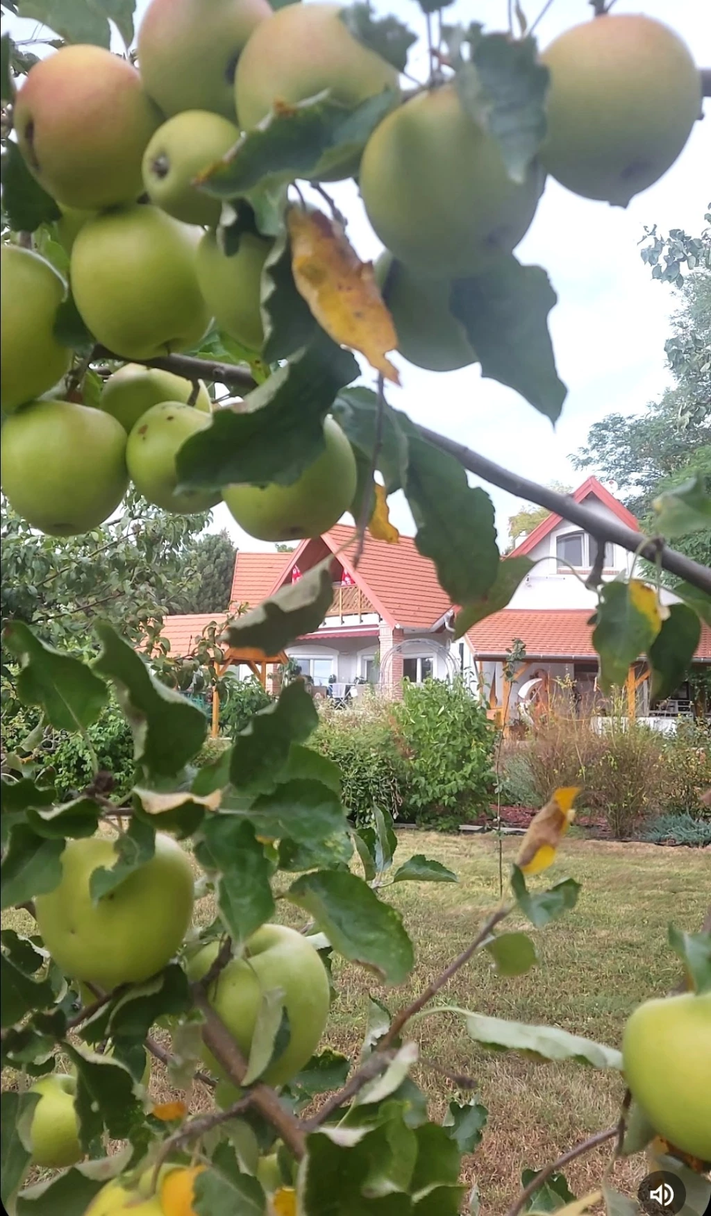 c3-1-name c2-1-name, Cserszegtomaj