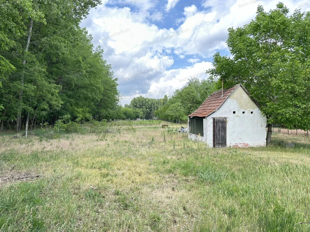 Kiskunhalas, Sóstói-szőlőkben, 2838 m2-es terület eladó