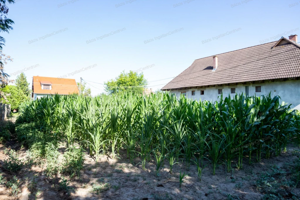 For sale building plot, Dávod