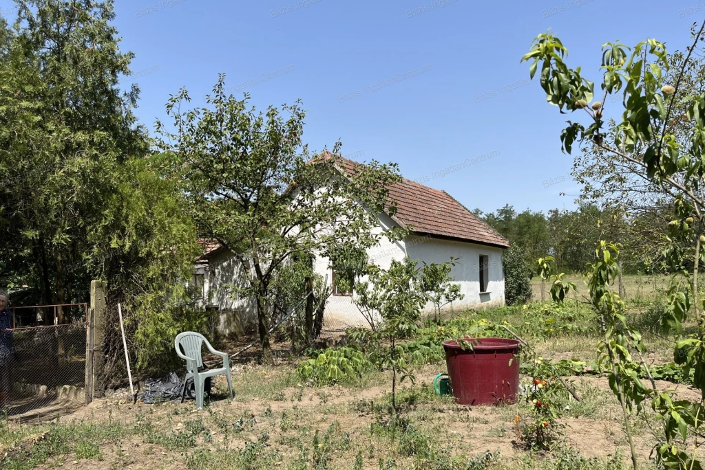 For sale grange, Bácsalmás