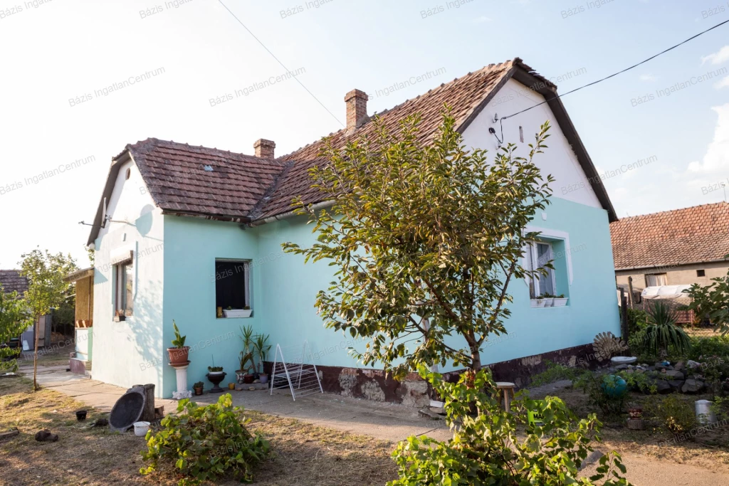 For sale house, Hercegszántó