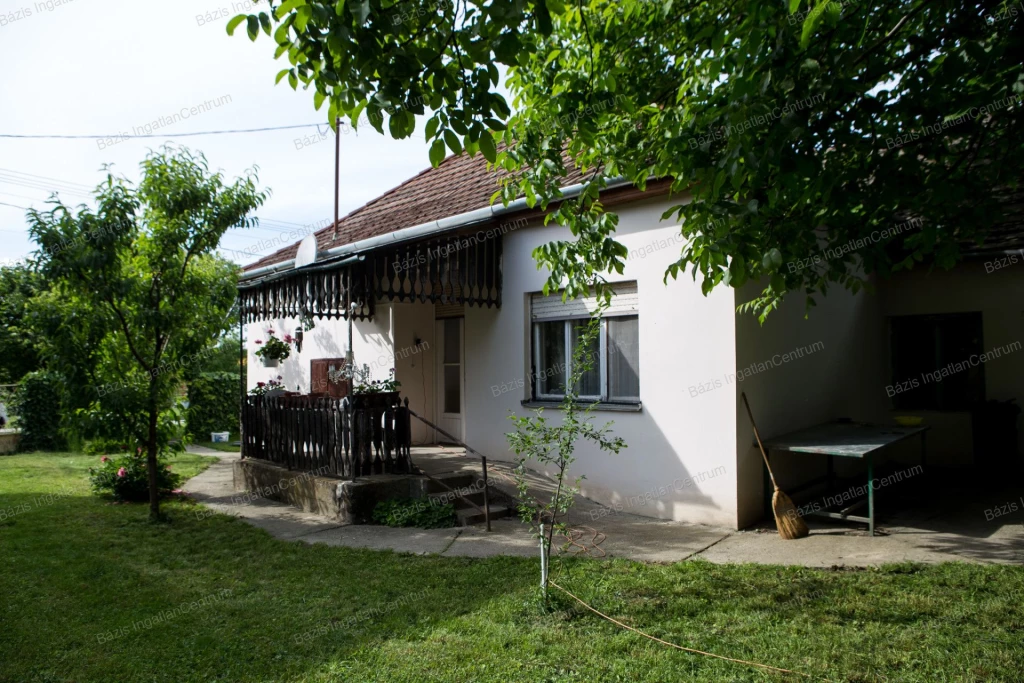 For rent house, Dávod