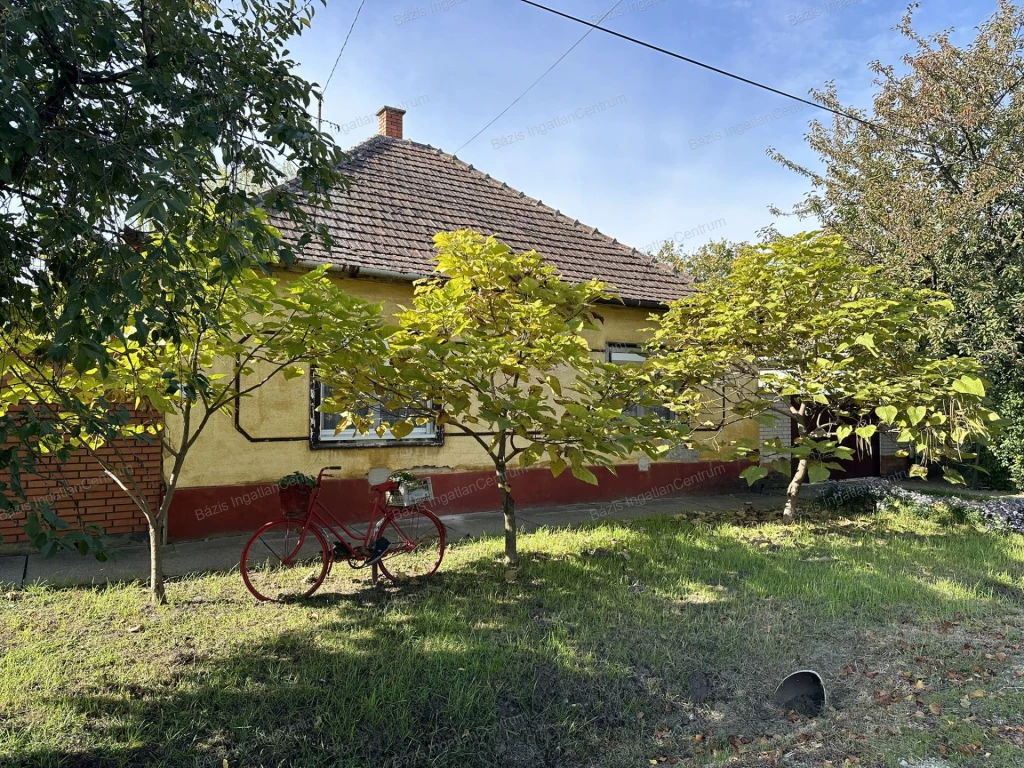 For sale house, Jánoshalma