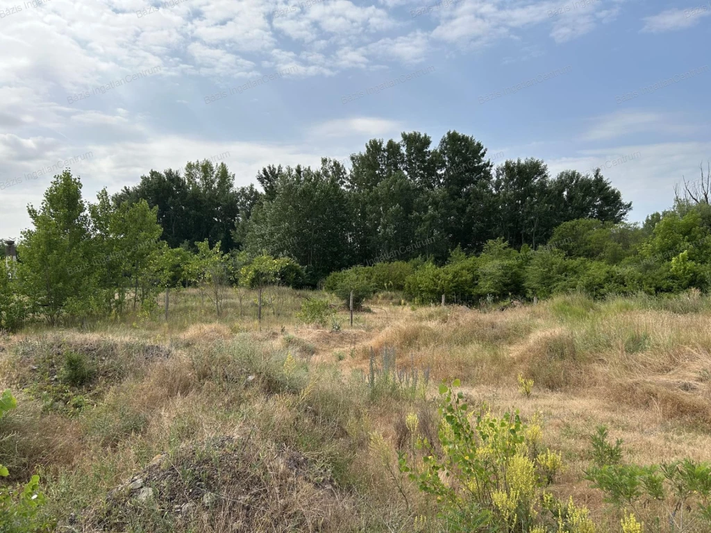 For sale building plot, Baja, Szabadság út