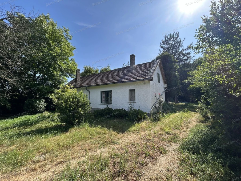 Erdőszéli házikó a Gemencben azonnal költözhetően eladó