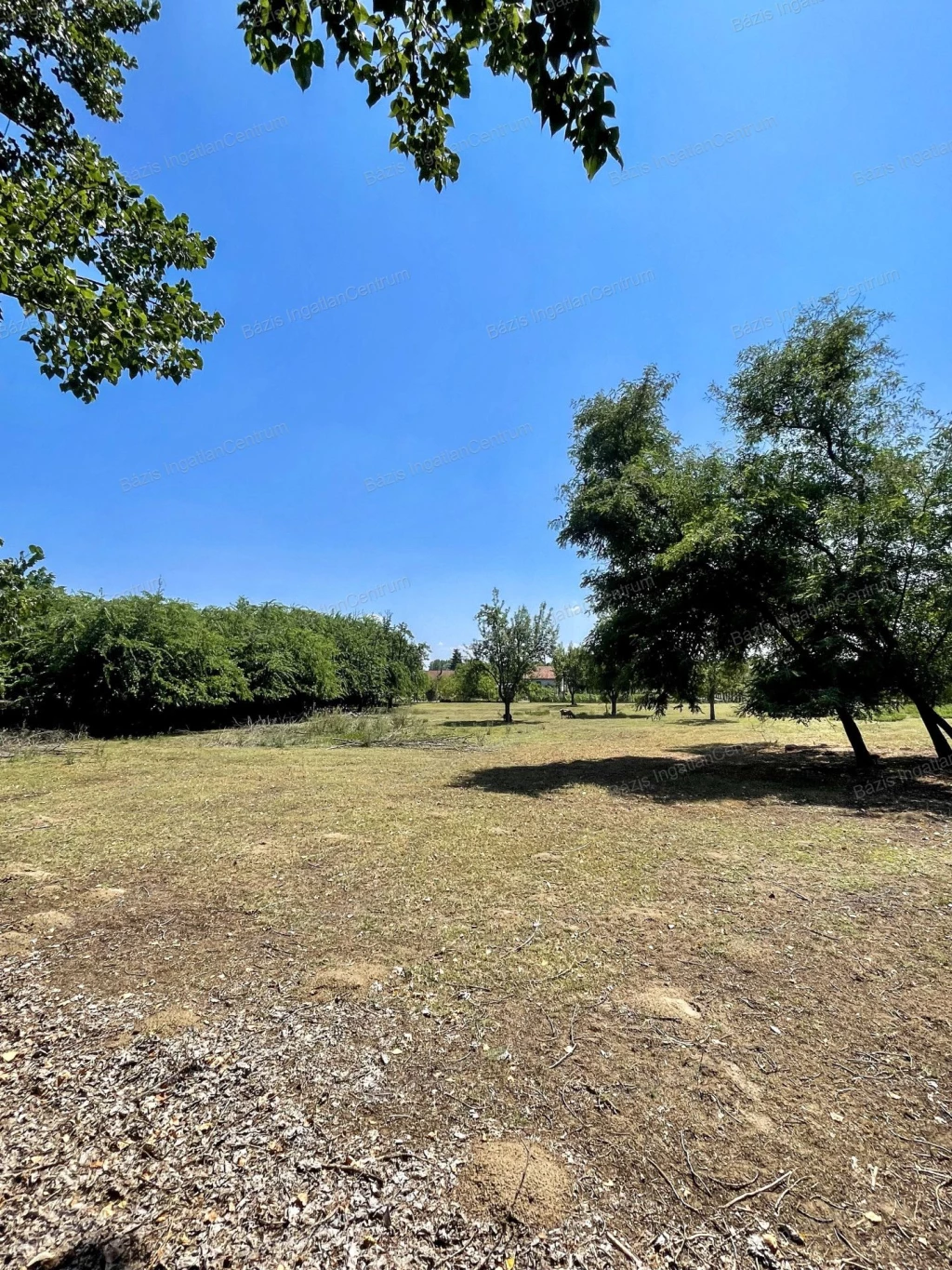 For sale building plot, Kiskunhalas, Kertváros