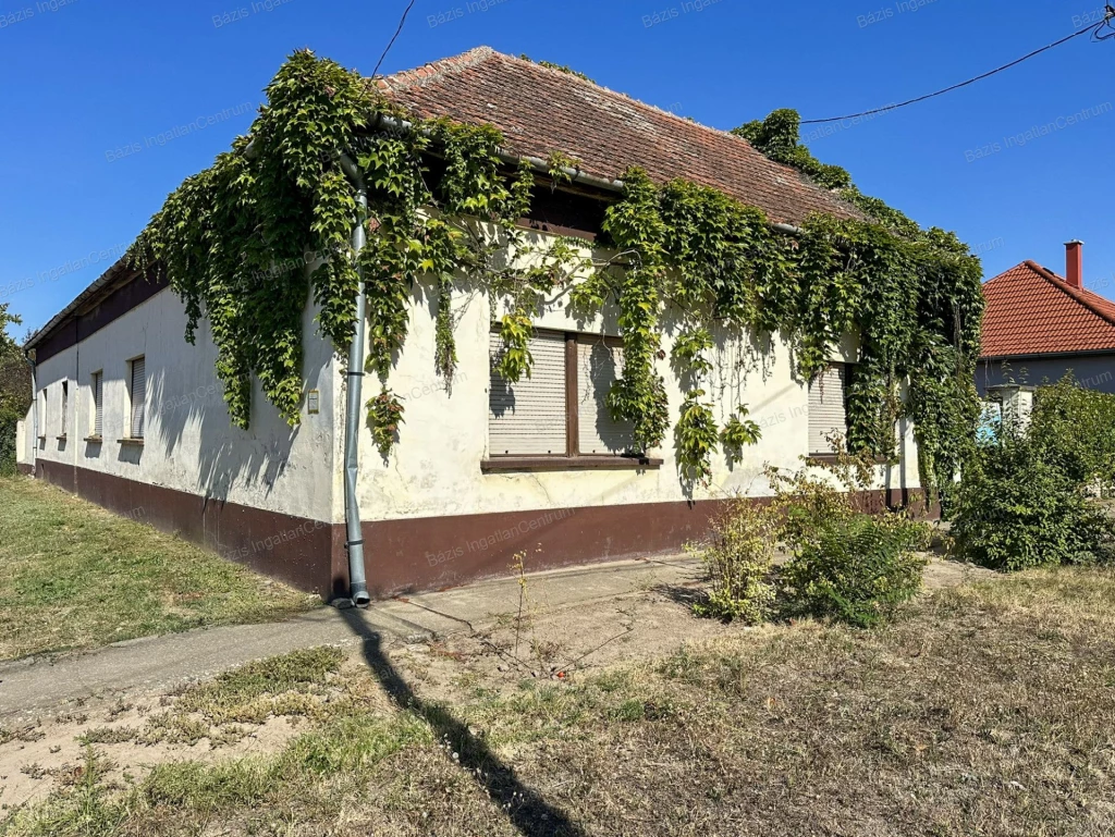 For sale house, Mélykút