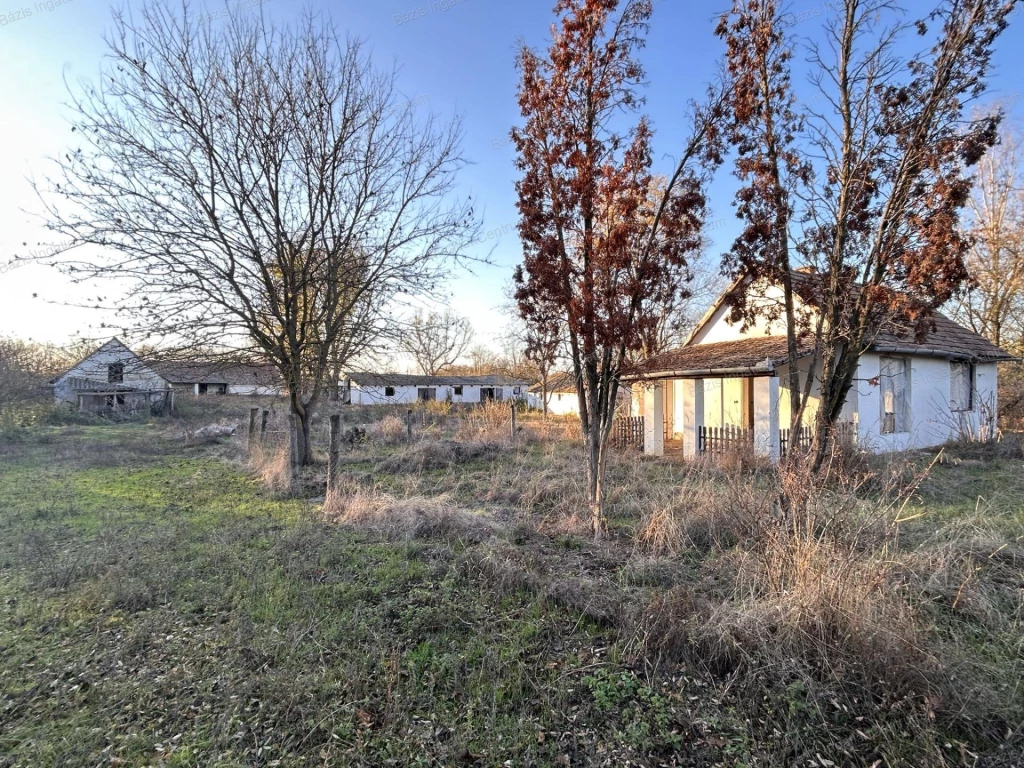 Sükösd település szélén eladó egy állattartásra alkalmas 7051 nm-es tanya