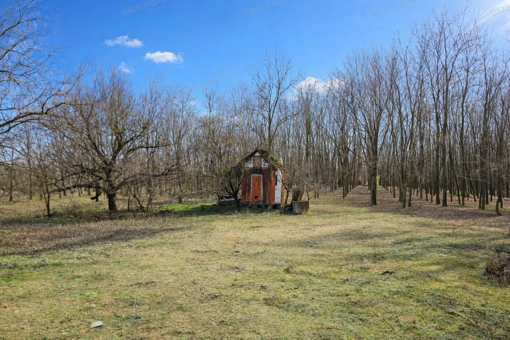 Kiskunhalason 1513 m2-es telek eladó